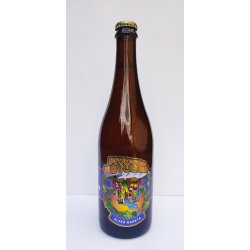 Matuška Zlatá raketa IPA 17° - Pivní ochutnávka