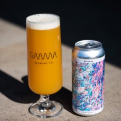 Gamma Brewing Big Doink - ØL2GO