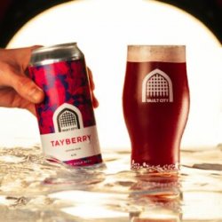 Vault City  Tayberry [4.1% Sour] - Red Elephant