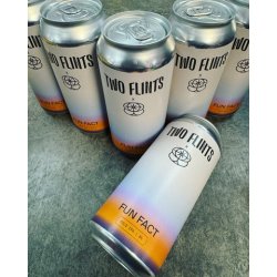 TWO FLINTS BREWING. FUN FACT COLD IPA 6% 440ml - The Beer Shelf