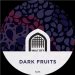 VAULT CITY BREWING Dark Fruits (POLYKEG SANKEY COUP) 6.2% VAULT CITY BREWING Dark Fruits (POLYKEG SANKEY COUP) 6.2%
