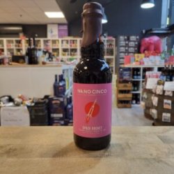 Nano Cinco Space Rocket