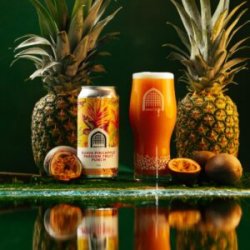 Vault City  Guava Pineapple Passion Fruit Punch [7.5% Sour] - Red Elephant