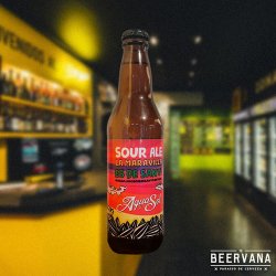 Agua & Sol. La Maravilla es de Sanvi - Beervana