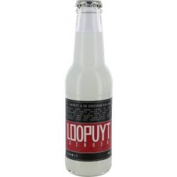 Loopuyt Ginger Beer - Drankgigant.nl