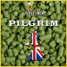 Pilgrim (pellet) Pilgrim (pellet)