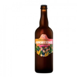 Du Pays Flamand Anosteké Freestyle 16 Rye IPA 75cl - Charlemagne Boissons