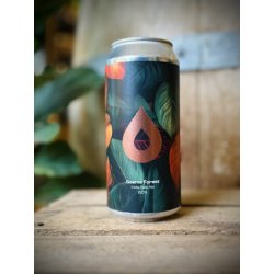 Polly’s Brew Co.  ‘Cosmo Forest’ - The Beer Hive Amager