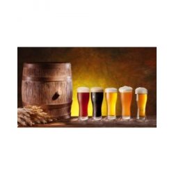 BierStars - Pils-Mix - BierStars