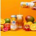 Vault City -Juice Mango, Peach, Guava & Orange Sour 5% 