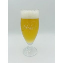 Libidus 30cl Beer Glass - Beer Glass Enthusiast