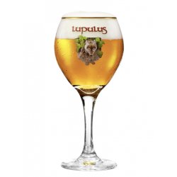 Lupulus 15cl, 25cl and 33cl - Beer Glass Enthusiast