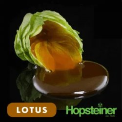 Lúpulo Salvo Lotus Extracto x 1 Kg - Cibart