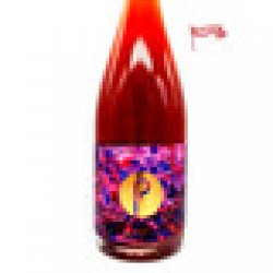 Pastore  Il Vigneto Rosso 2022  Pinot Noir Wild Sour 7.2% 750ml - Thirsty Cambridge