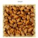 Wheat malt SIMPSONS 3 EBC Wheat malt SIMPSONS 3 EBC