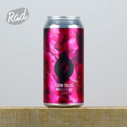 Pollys Slow Talus - Radbeer