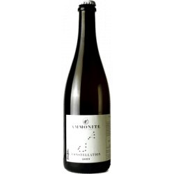 Ammonite Constellation 2020 – Bière de fermentation spontanée – 75cl - Find a Bottle