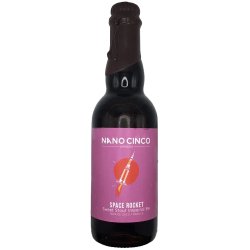 Nano Cinco Space Rocket