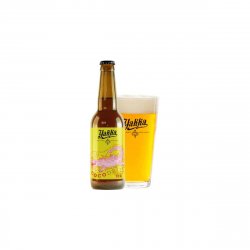 Yakka Cocodrila 6.4alc 33cl - Dcervezas