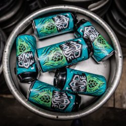 Mad Scientist “DDH MADHOUSE” 6-Pack - Mad Scientist