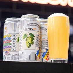Sureshot Brewing Feature Presentation: Citra