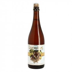 LUPULUS Bière Belge Blonde Triple 75 cl - Calais Vins