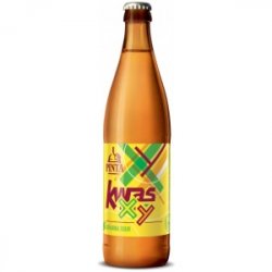 Browar PINTA Kwas Xy