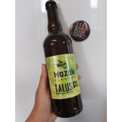 Mazák Talus Modern IPA 14°5,7% 0,7l - Pivní lednice