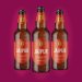 Thornbridge Jaipur, 5.9% IPA - 8 x 500ml Bottles 