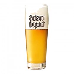 Bicchiere Saison Dupont 33 cl - XBeer