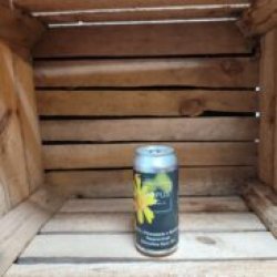 Ārpus Brewing Co. Chilli X Pineapple X Apricot X Passionfruit Smoothie Sour Ale