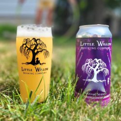 Little Willow Brewing Company Festival Season Little Willow Brewing Company Festival Season