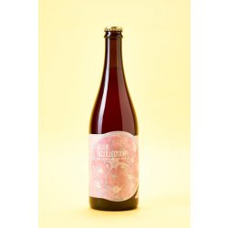 Jester King Vague Recollection - Buvance