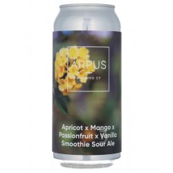 Ārpus - Apricot x Mango x Passionfruit x Vanilla Smoothie Sour Ale - Beerdome