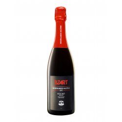 Oud Beersel- Bzart Kriekenlambiek Millésime 2013 7% ABV 750ml Bottle - Martins Off Licence