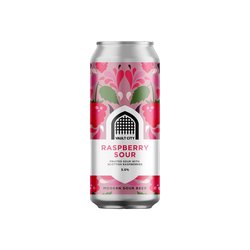 Vault City Brewing Raspberry Sour