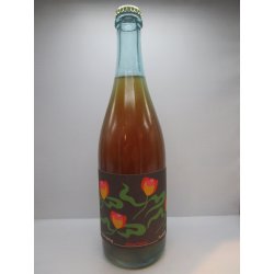 Bodriggy Reverse Spring Shiraz BA Sour 7.5% 750ml - Grape & Grain