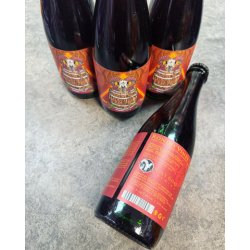 HOLY GOAT BREWING. RONDON VINES MIXED FERMENTATION BEER  RED WINE HYBRID 7.4% 375ml - The Beer Shelf