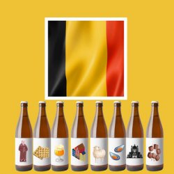Pack 8 cervezas estilos belgas - Beer Sapiens