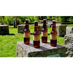 Sunshine Box (12 x 330ml) - The kernel