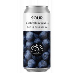 Soul Fire Brewery This Is Blueberry