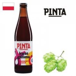 Pinta Kwas Gamma 500ml - Drink Online - Drink Shop