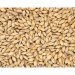Pale Malt,SAB 1kg Pale Malt,SAB 1kg