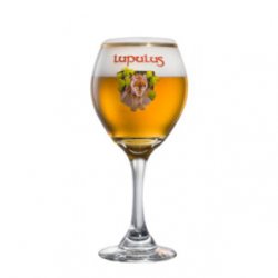 BICCHIERE LUPULUS - Birre da Manicomio