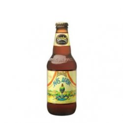 FOUNDERS Mas Agave Lime - Birre da Manicomio