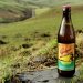 Geipel Aloha From Bala 4.4% abv 500ml Bottle 