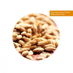 08. Maltas por Kg > Malta Base - Fermentando