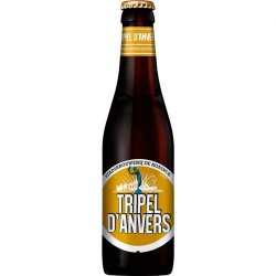 Tripel d'Anvers - Estucerveza