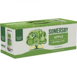 Somersby Apple 10pk - Beer Store Australia