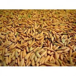 Granza de arroz - 1 Kg - TicoBirra